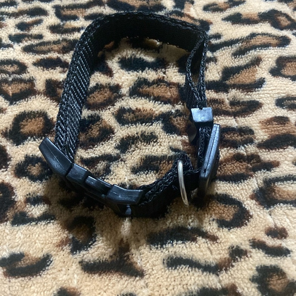 Black Dog Collar